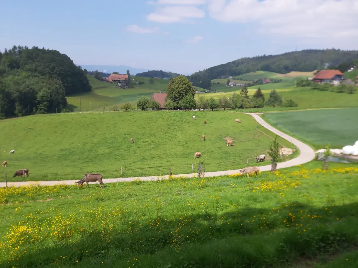 Fahrradtour