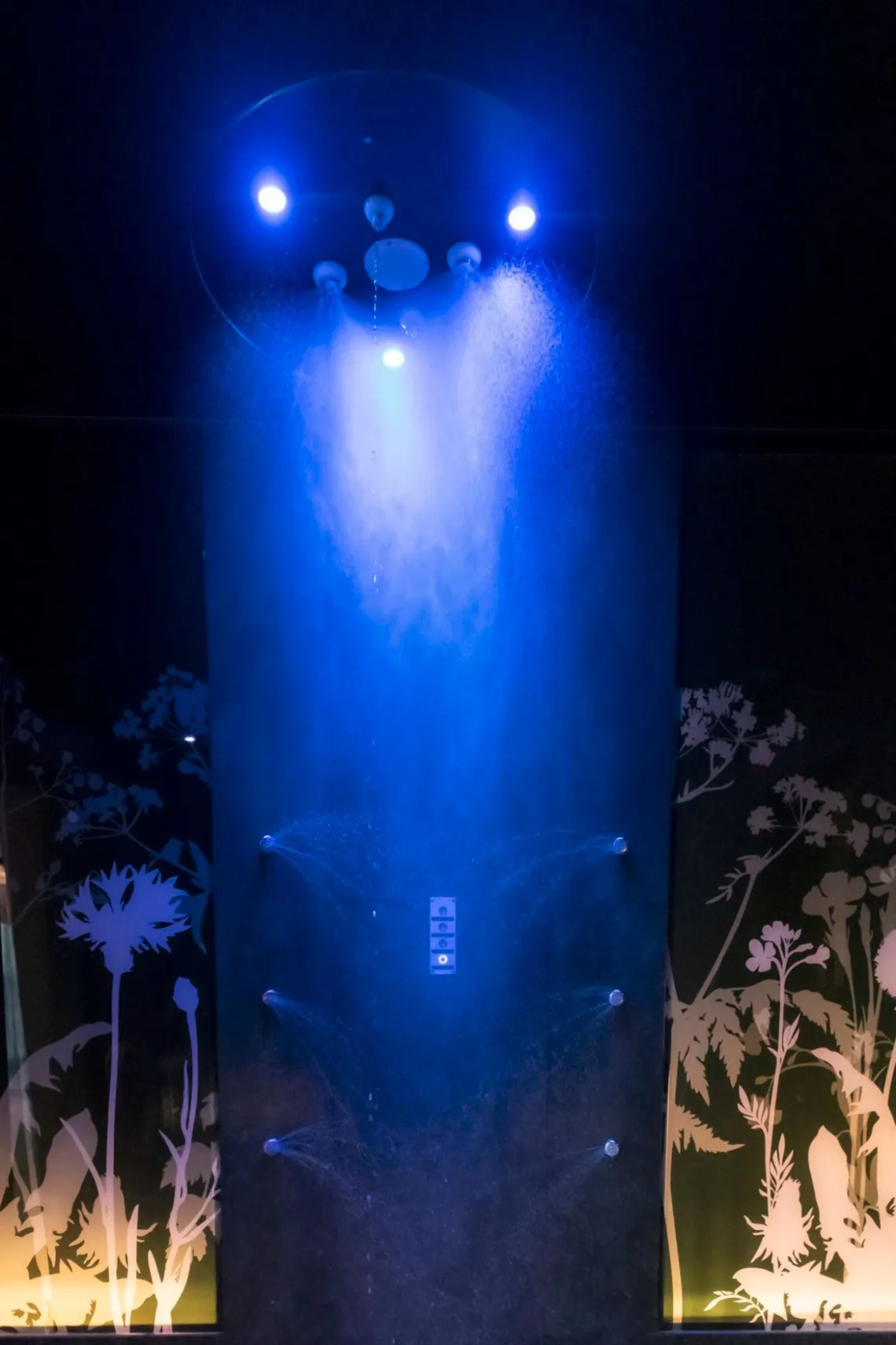 Wellness Erlebnisdusche im Kanton Bern