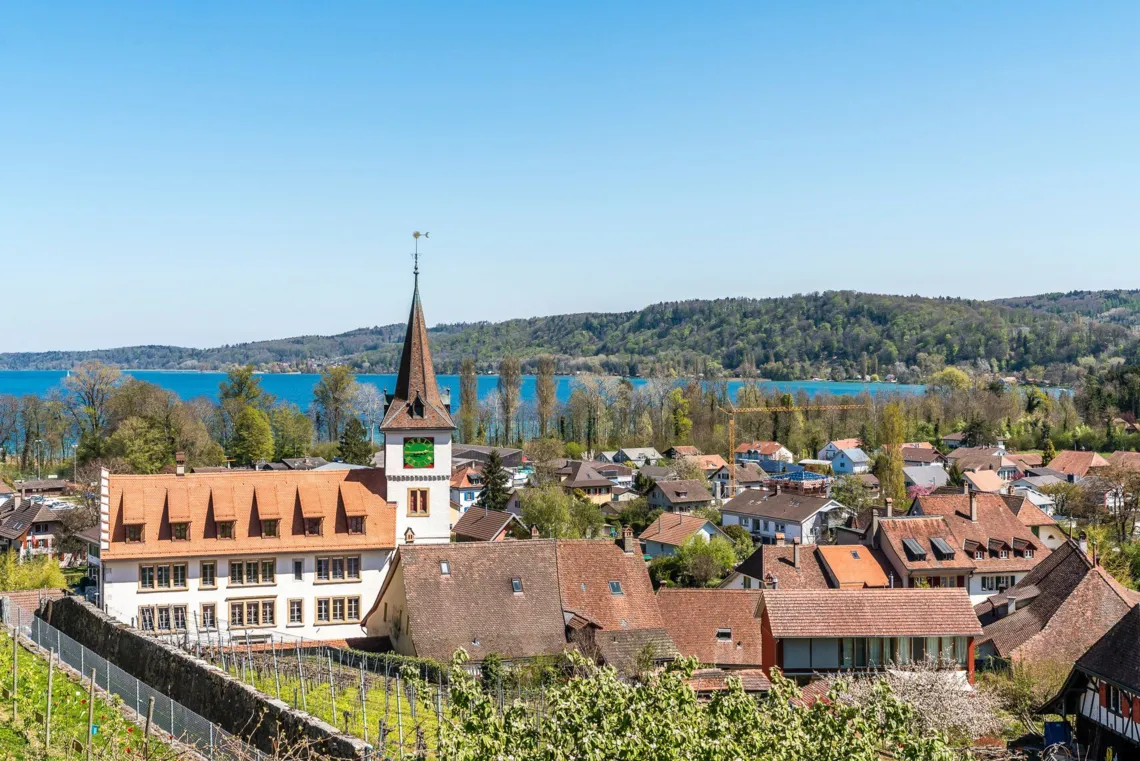 Panorama-Schloss-Erlach.jpg