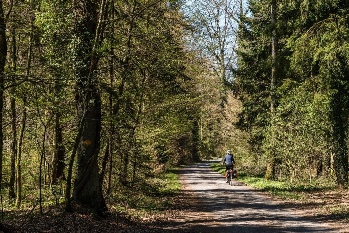 Veloweg-Oberaargau.jpg